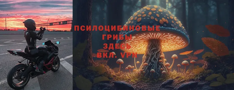 Псилоцибиновые грибы MAGIC MUSHROOMS  Барабинск 